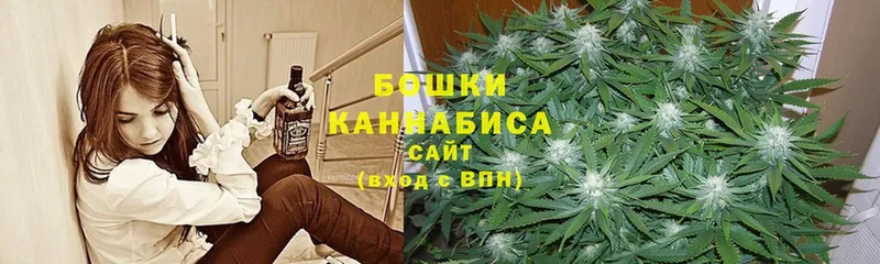 Купить наркотики сайты Елабуга Гашиш  Бошки Шишки  COCAIN  Меф мяу мяу 